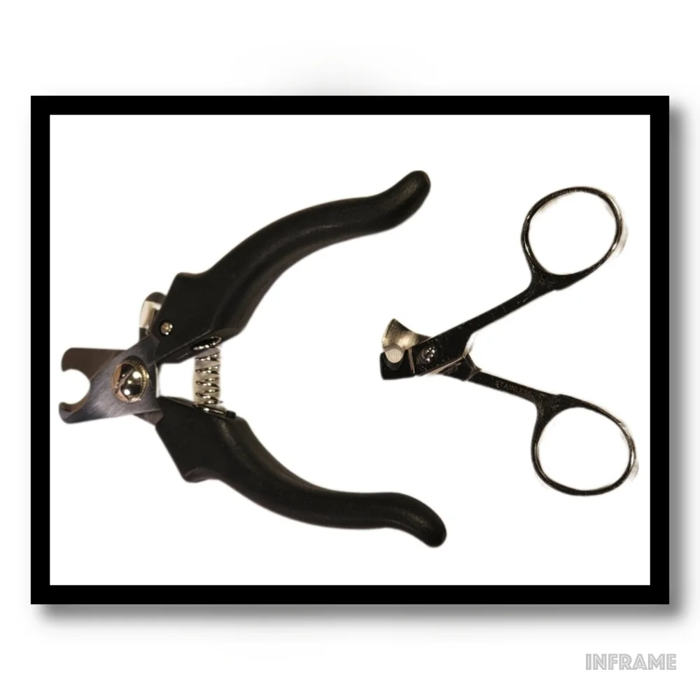 Pet Nail Clippers for Small Dogs or Cats (2~Total)